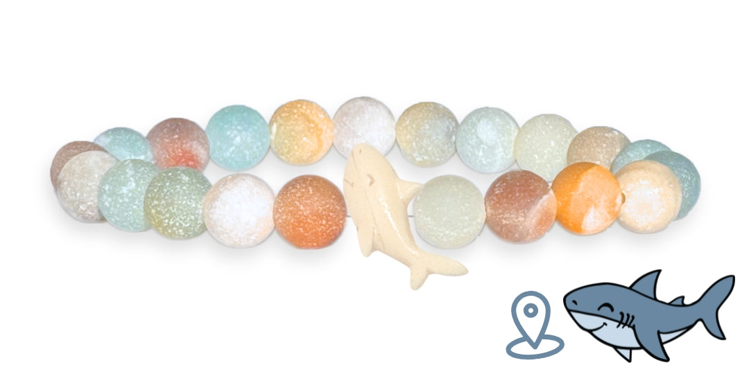 Bracelet de suivi requin