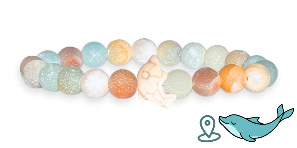 Bracelet de suivi dauphins