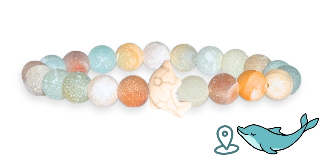 Bracelet de suivi dauphins