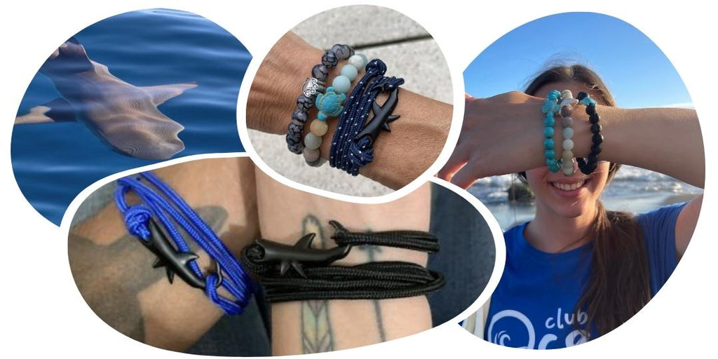 Bracelet de suivi requin
