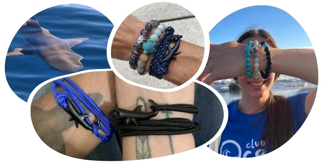 Bracelet de suivi requin