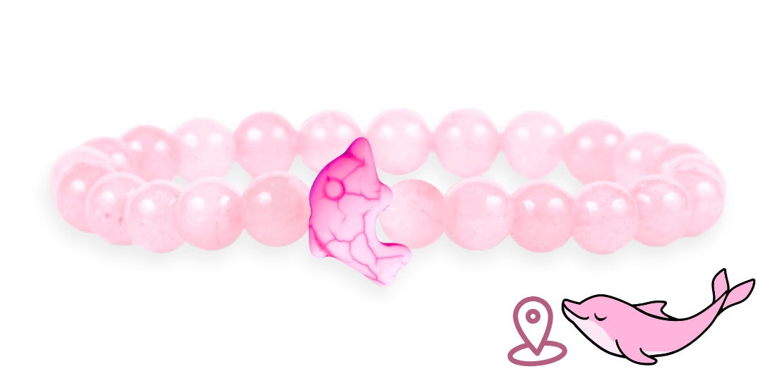 Bracelet de suivi dauphins