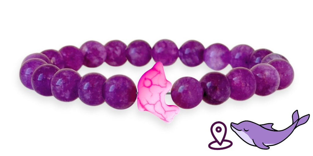Bracelet de suivi dauphins