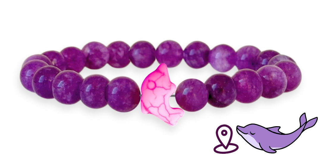 Bracelet de suivi dauphins