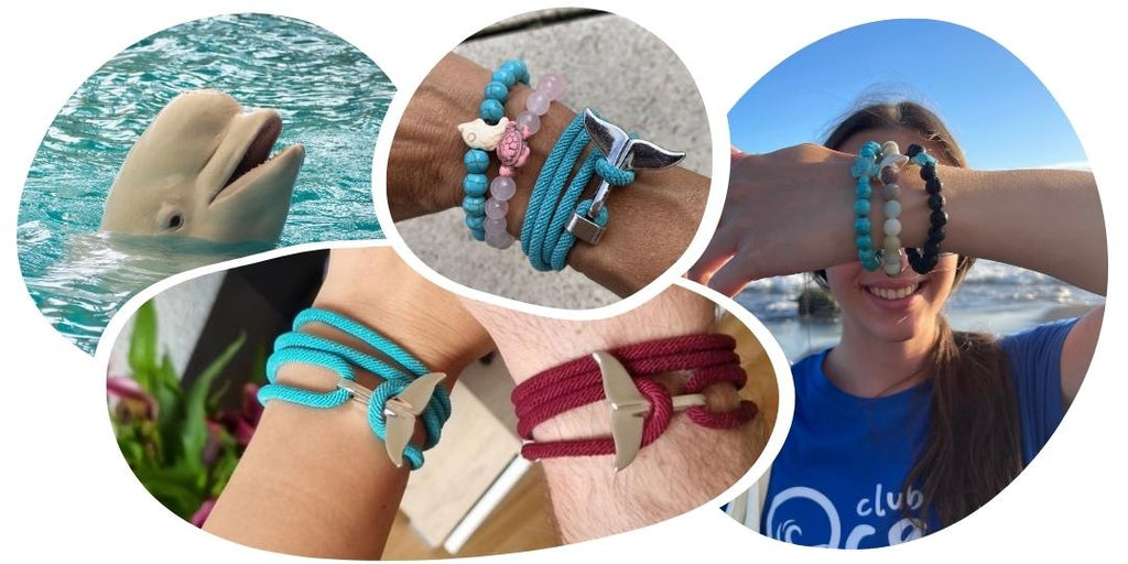 Bracelet de suivi baleine