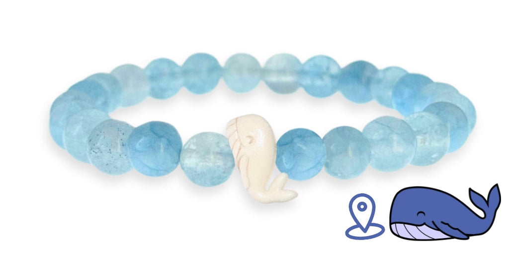 Bracelet de suivi baleine