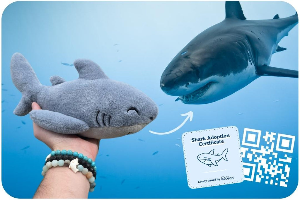 Peluche « Adoption d'un requin »