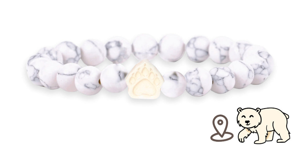 Bracelet de suivi our polaire