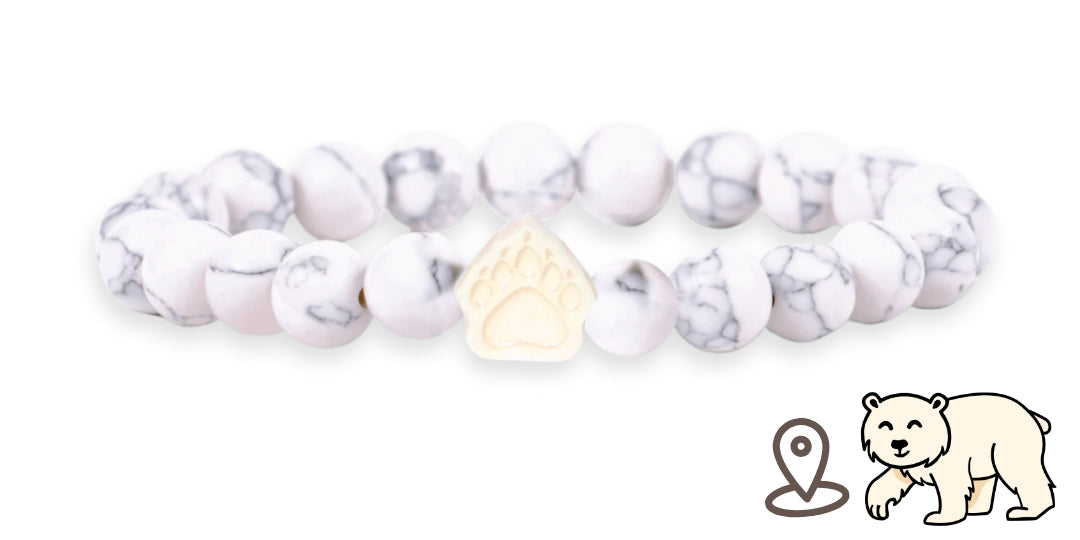 Bracelet de suivi our polaire