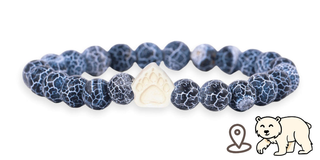 Bracelet de suivi our polaire