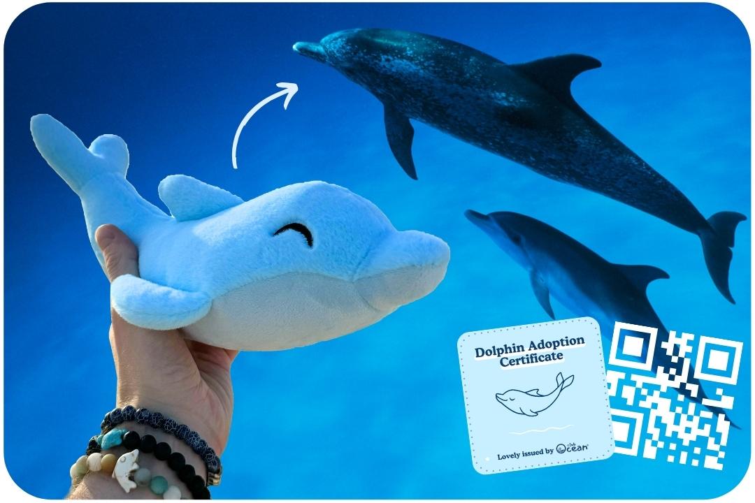 Dolphin Plushie