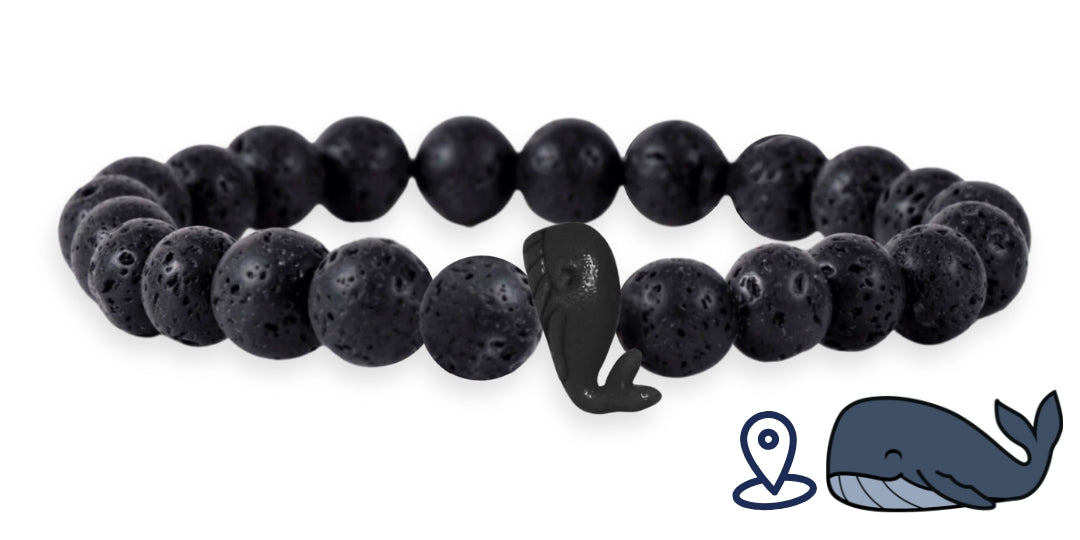 Bracelet de suivi baleine