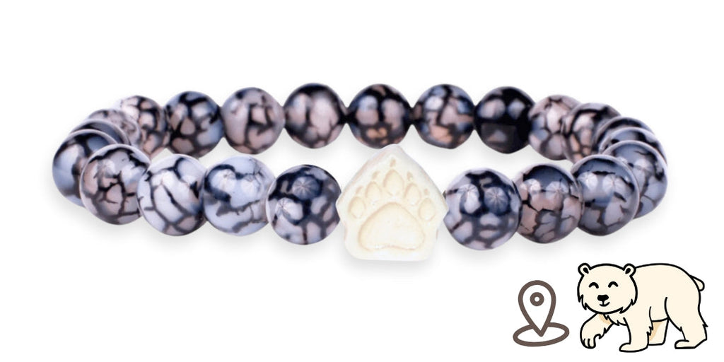 Bracelet de suivi our polaire