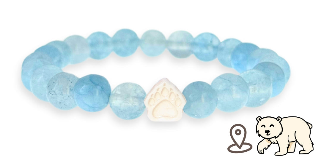 Bracelet de suivi our polaire