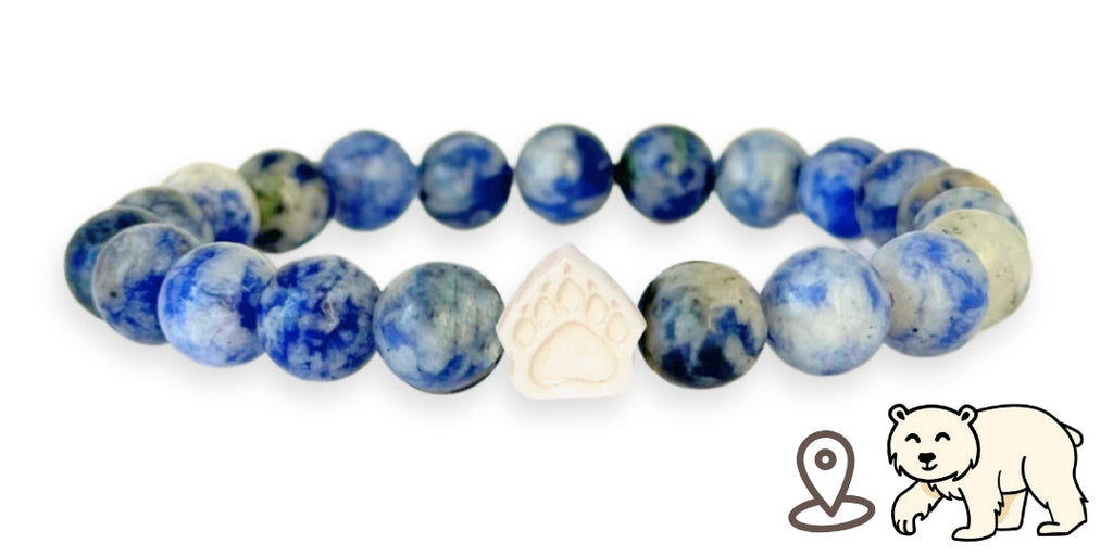 Bracelet de suivi our polaire