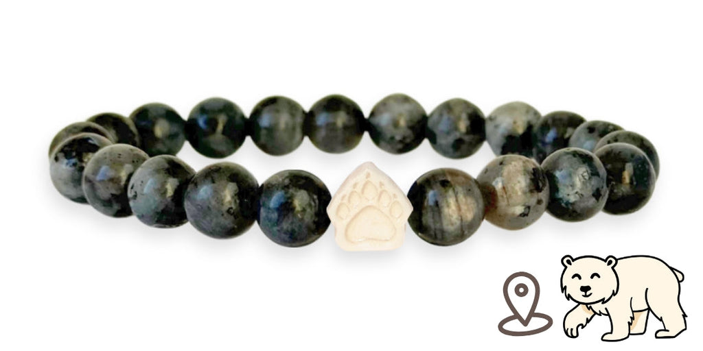 Bracelet de suivi our polaire