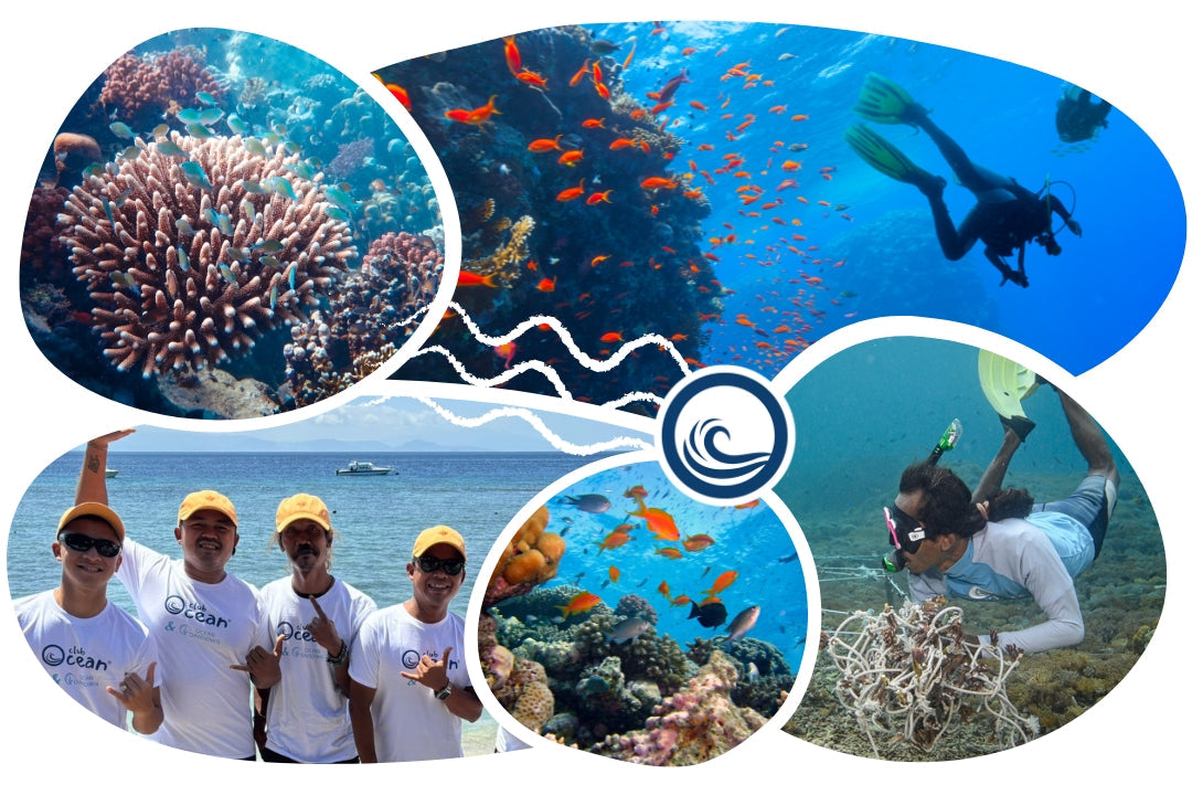 Casquette adoption corail