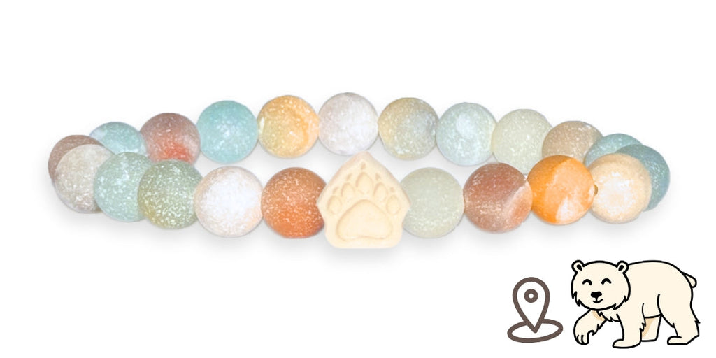 Bracelet de suivi our polaire