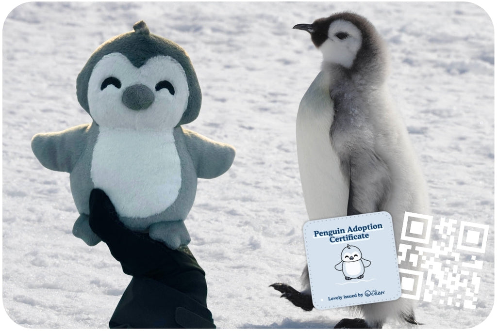 Peluche Adoption Pingouin