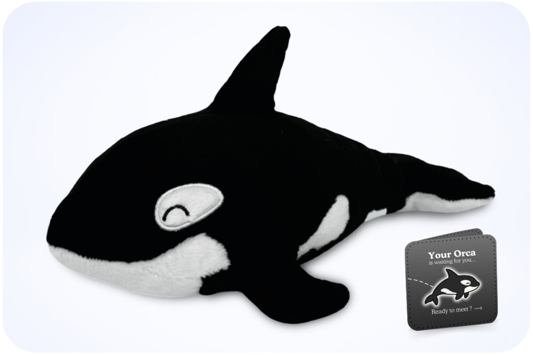 Peluche Adoption Orque