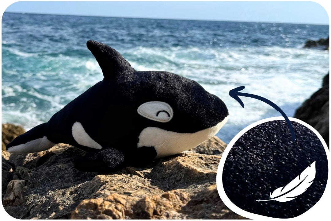 Orca Plushie