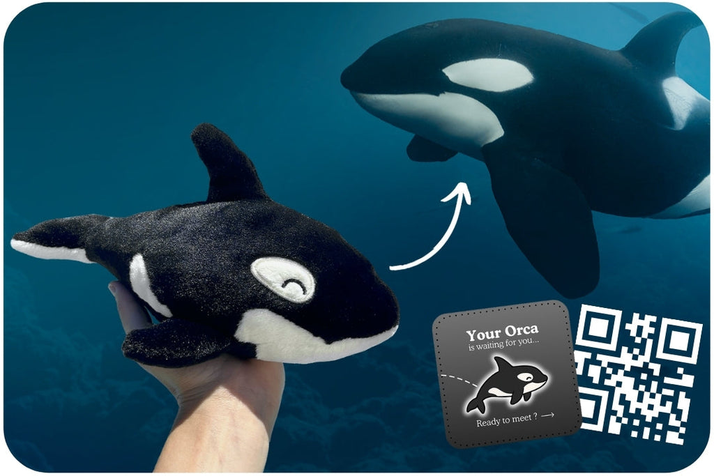 Orca Plushie