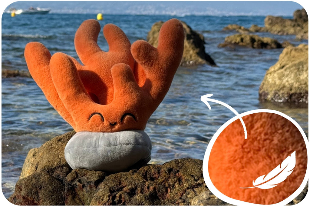Peluche Coral Adoption