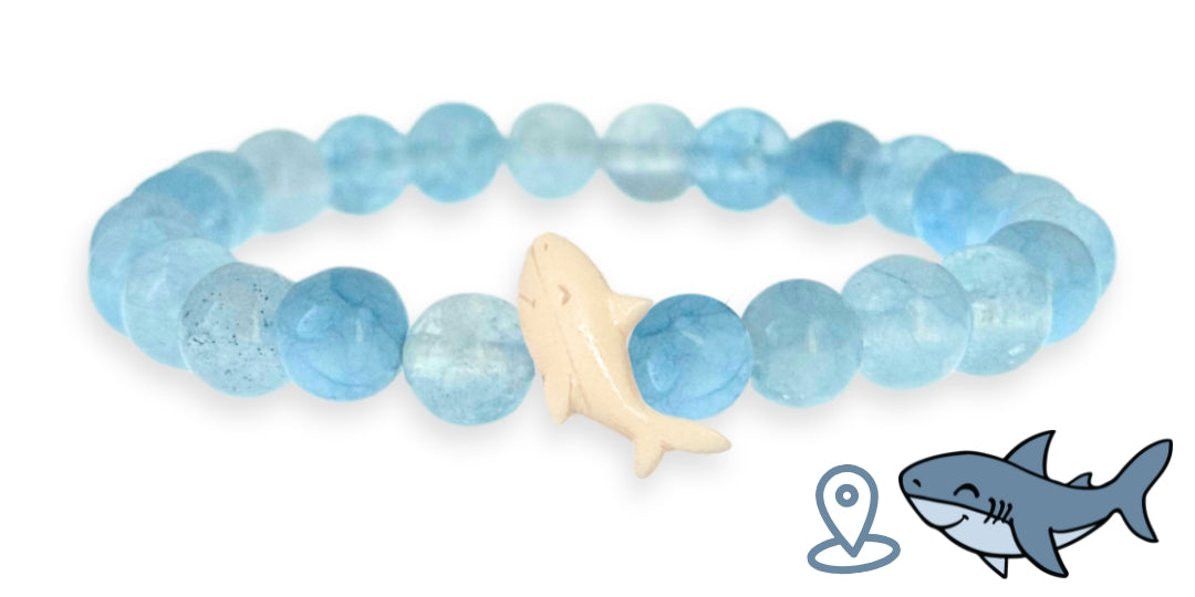 Bracelet de suivi requin