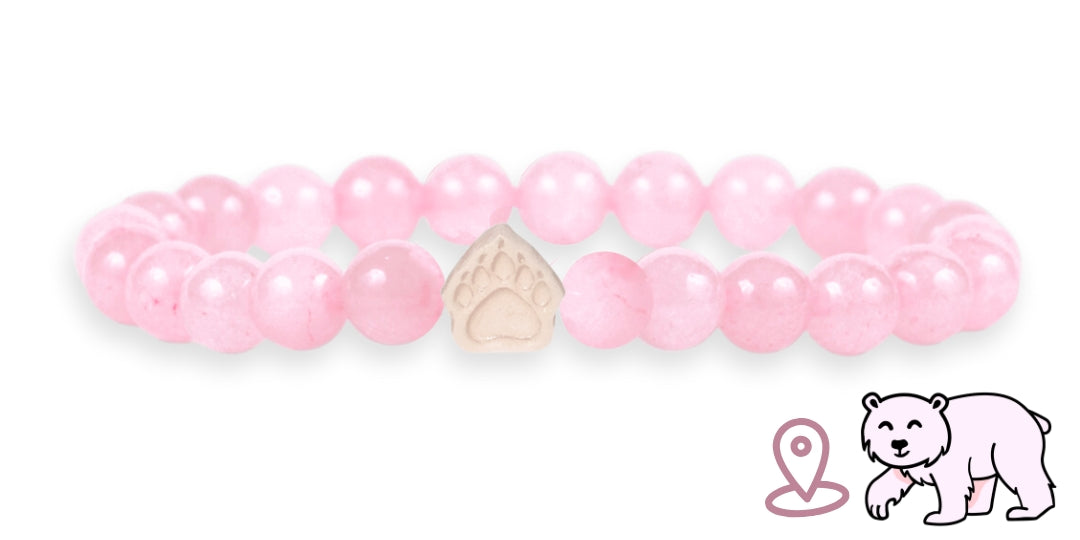 Bracelet de suivi our polaire