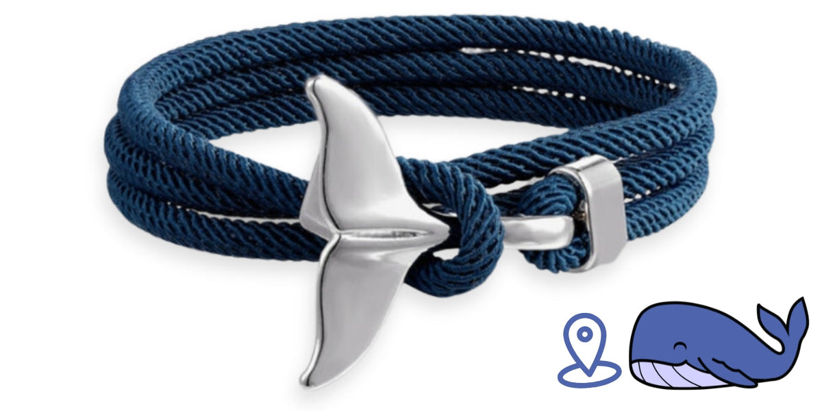 Bracelet de suivi baleine