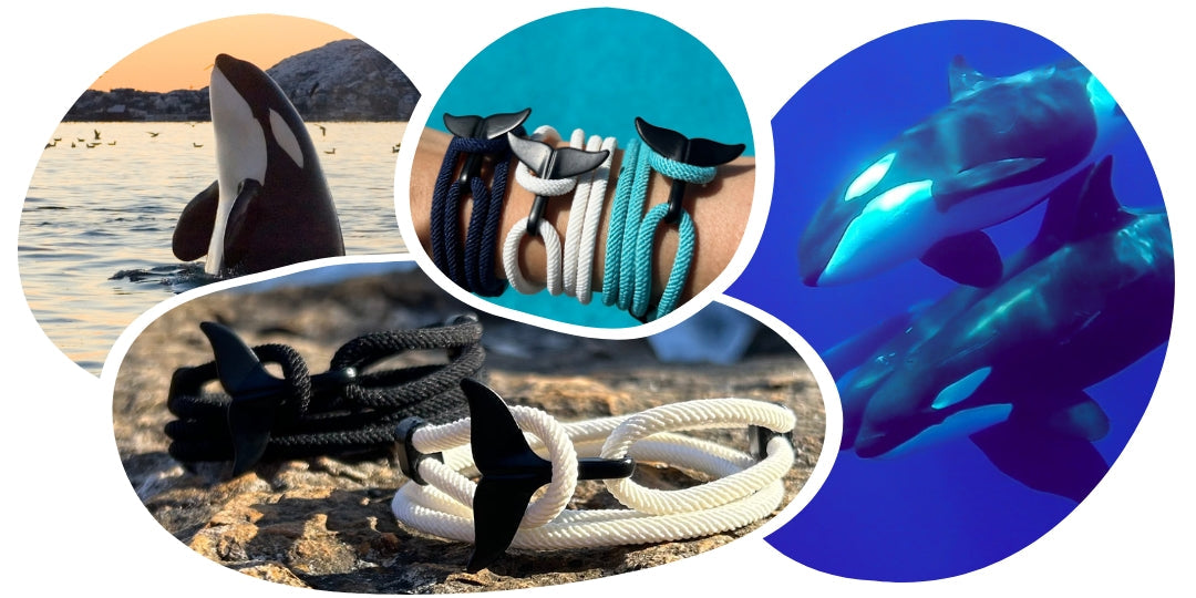 Bracelet Orque Suivi