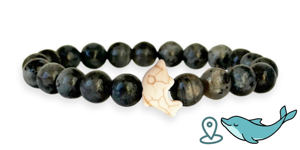 Bracelet de suivi dauphins