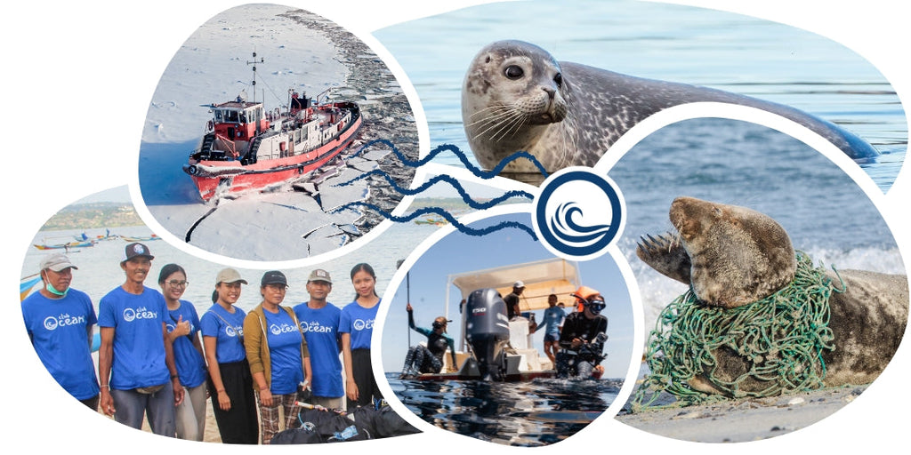 Bracelet Suivi Phoque