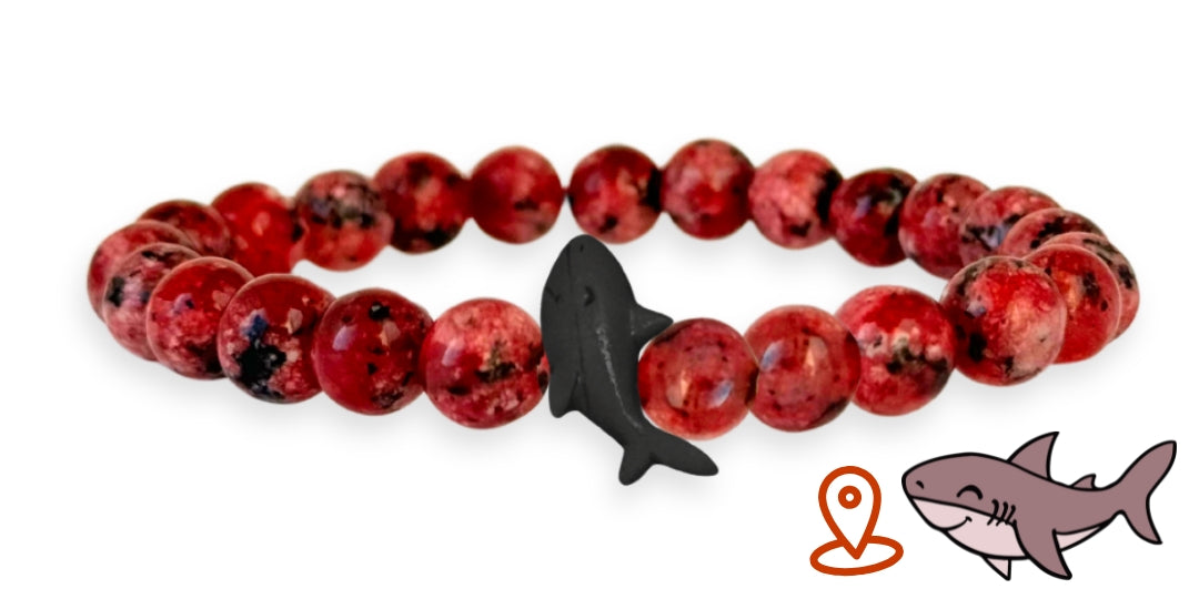 Bracelet de suivi requin