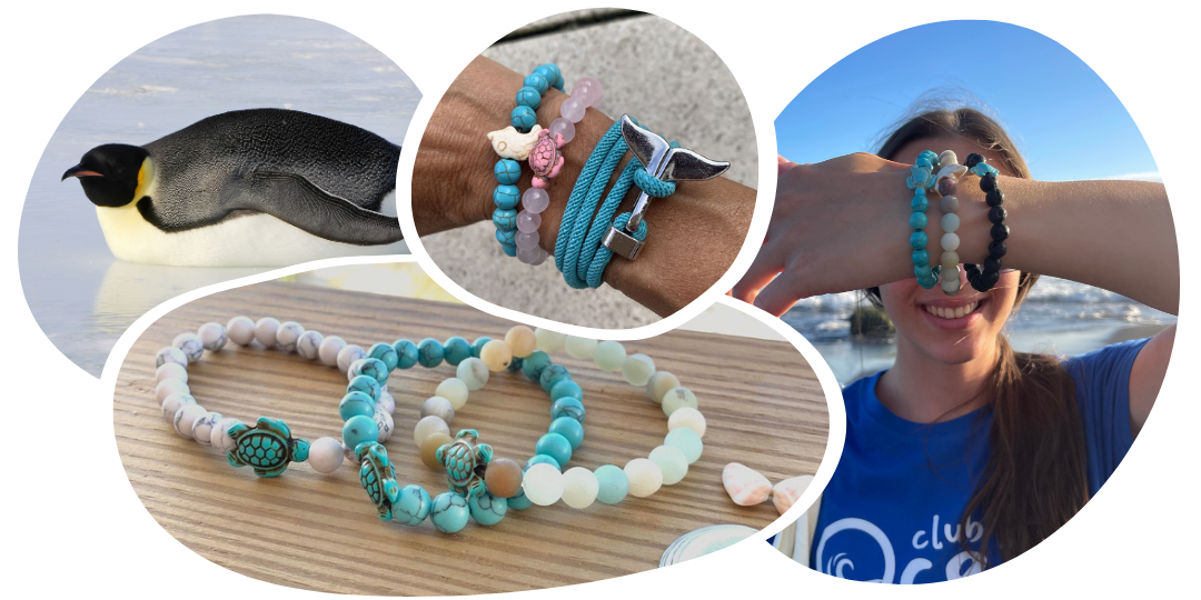 Bracelet Pingouin Suivi