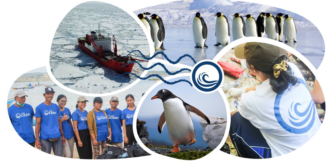 Casquette adoption Pingouin