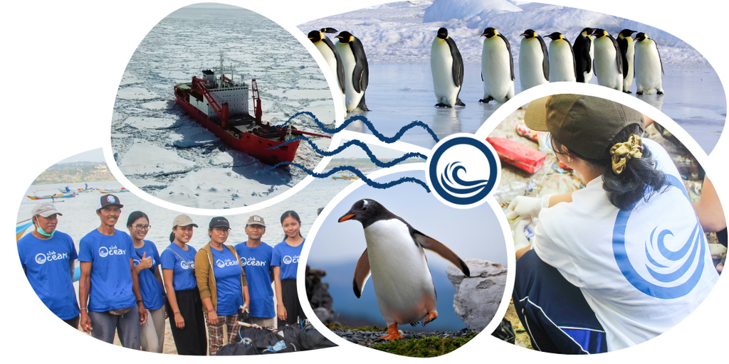 Bracelet Pingouin Suivi