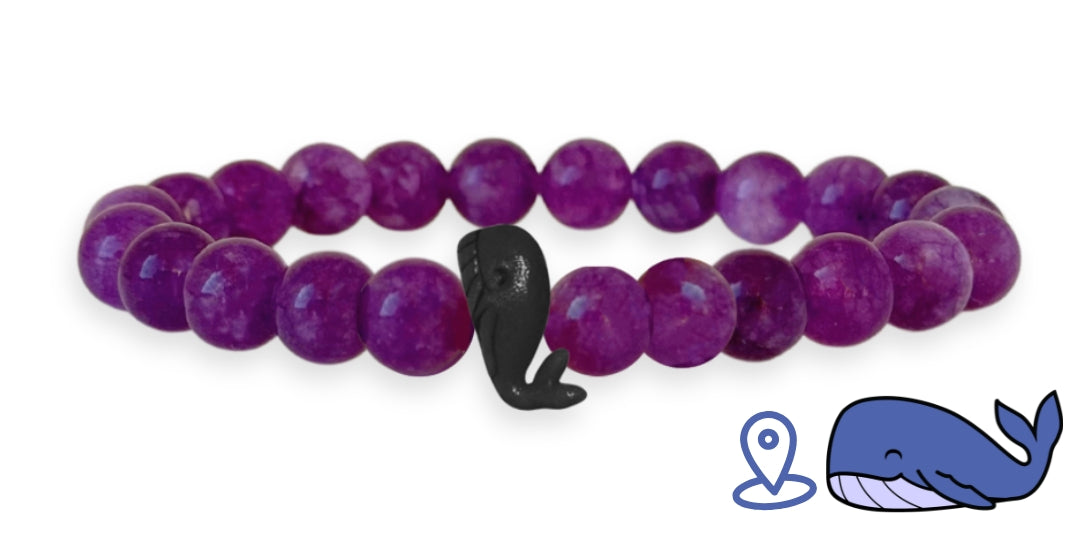 Bracelet de suivi baleine