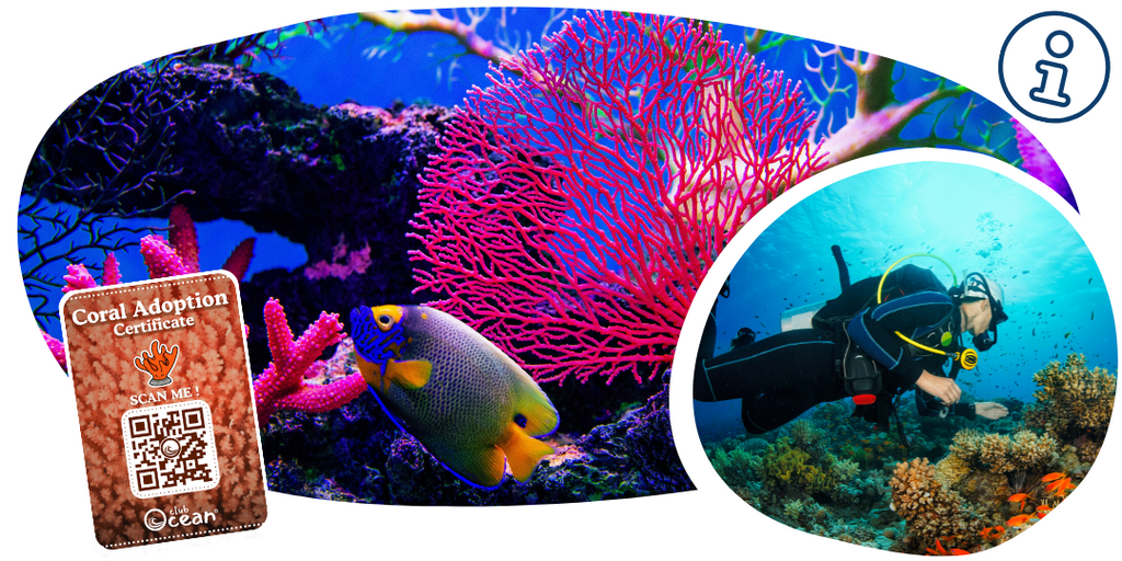 Bracelet de restauration corail